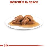 Royal Canin Aliment Humide Chien Maxi Adult en sauce 140g